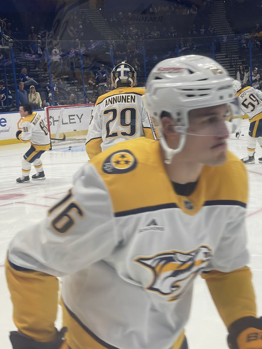 Taylor: The Pred Head tweet media