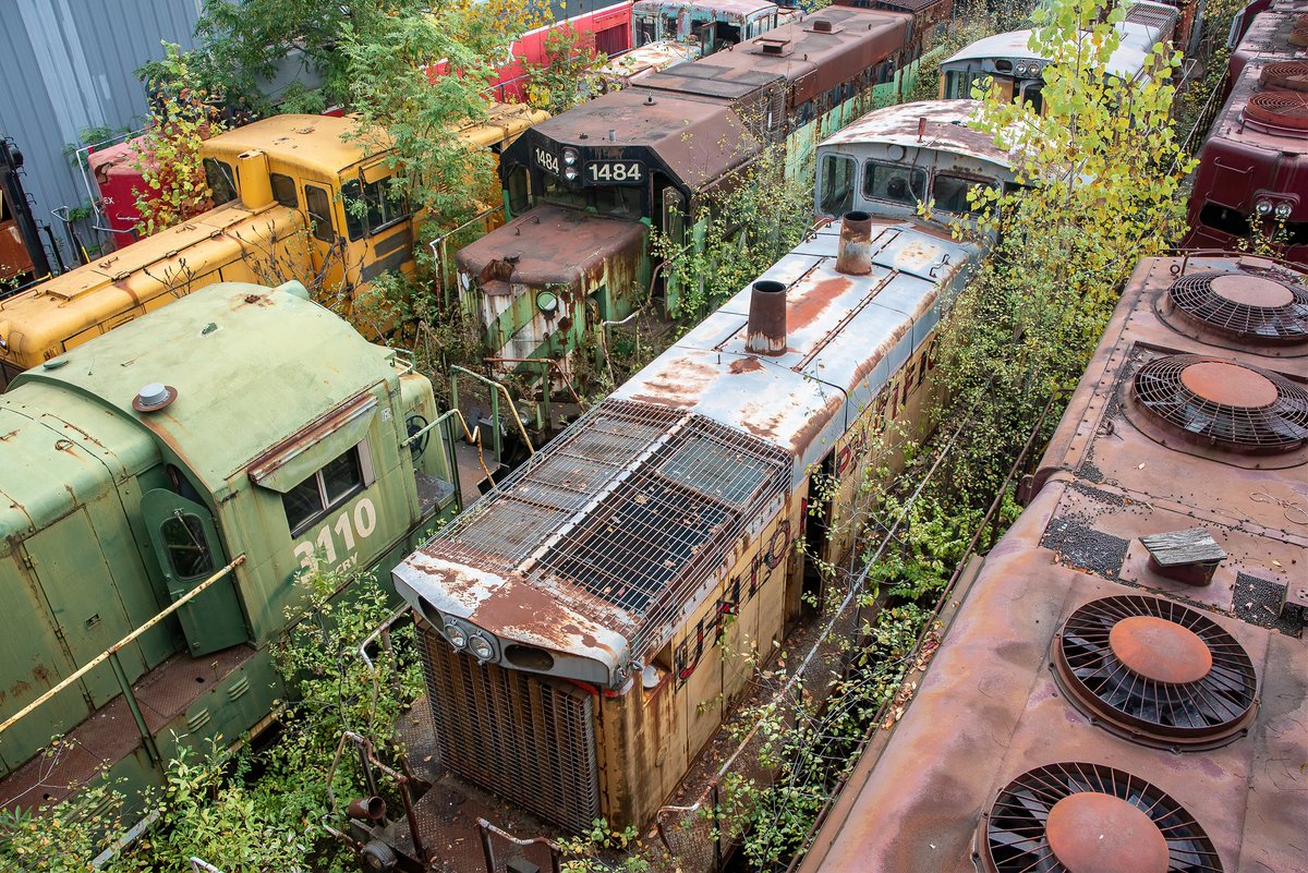 Mr. P. Explores tweet media