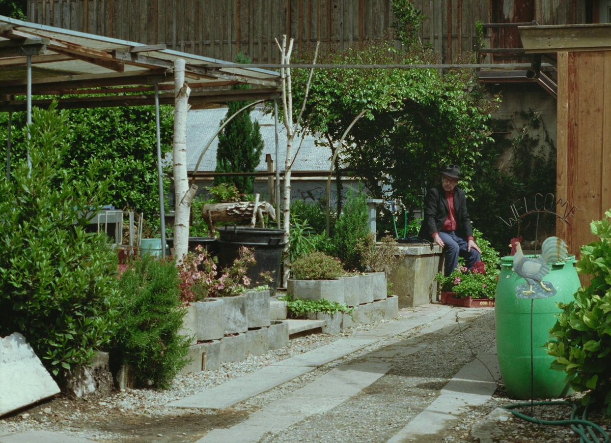 carlos🇵🇸 tweet media