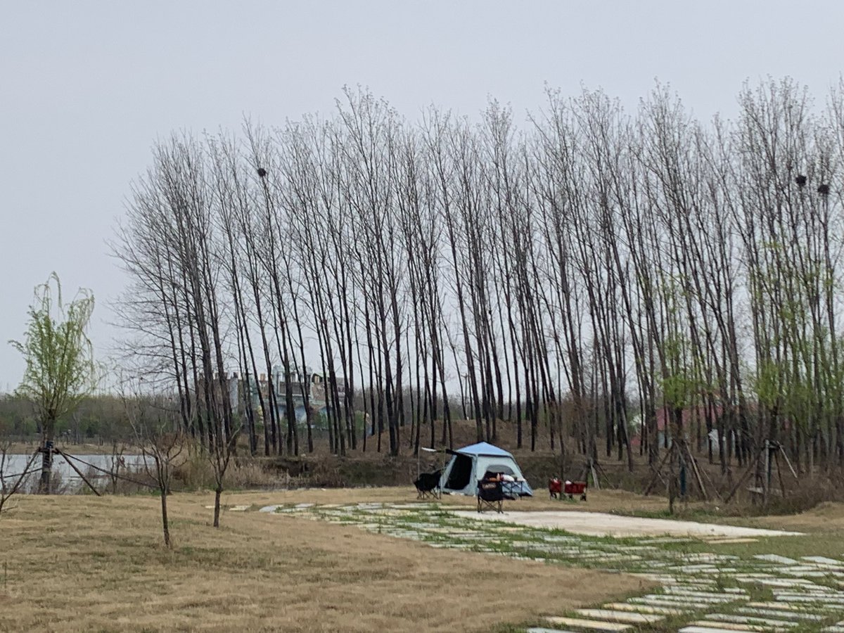 兮归人 tweet media