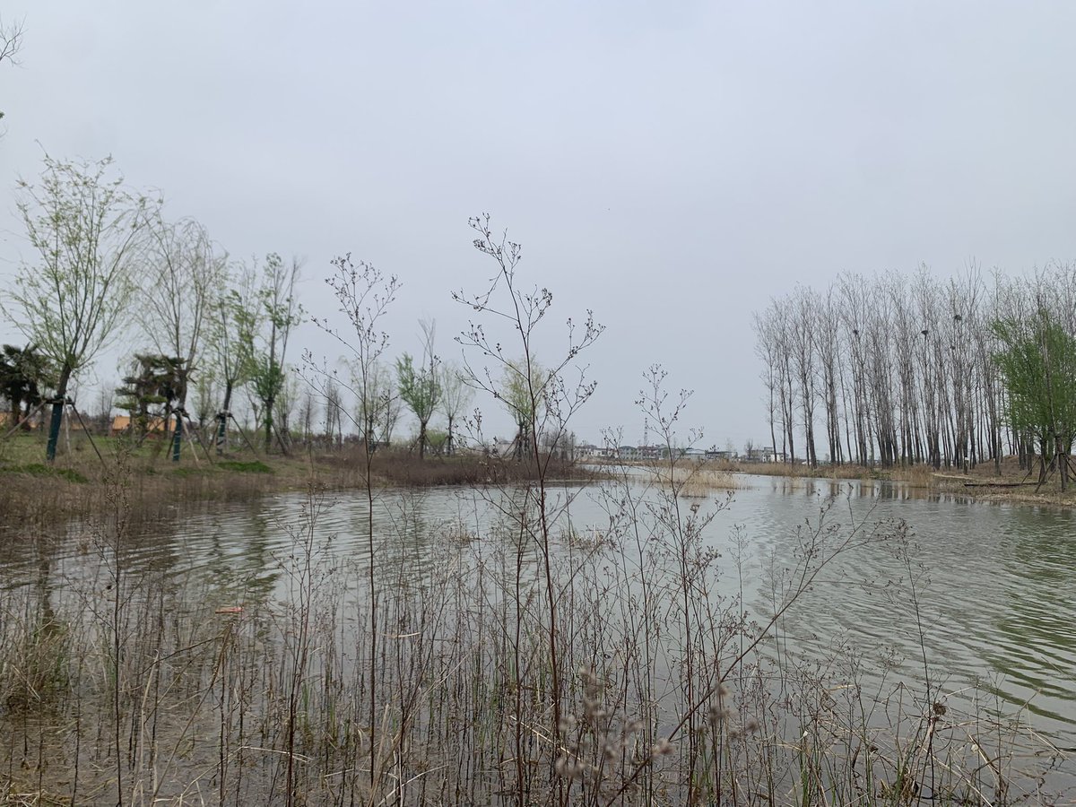 兮归人 tweet media