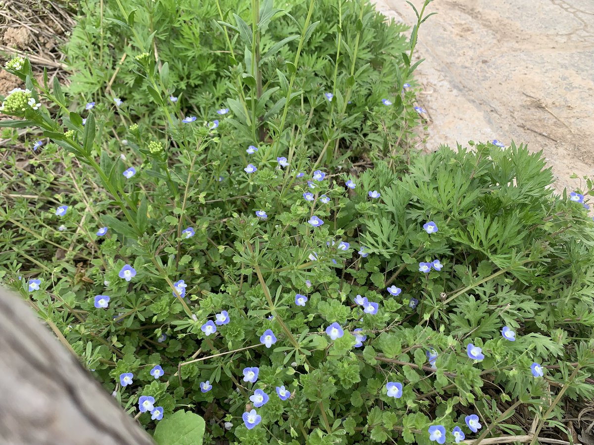 兮归人 tweet media