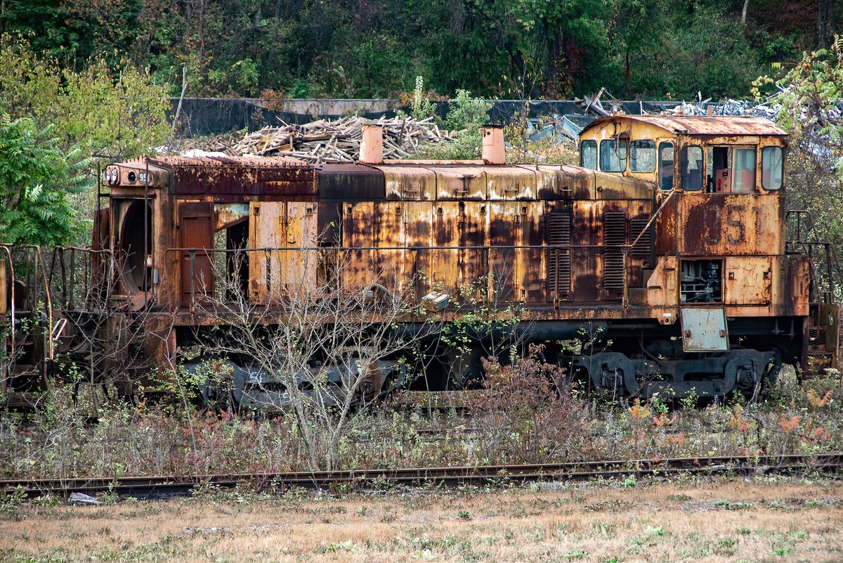 Mr. P. Explores tweet media