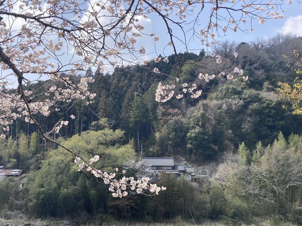 まるちゃん中日楽天党 tweet media