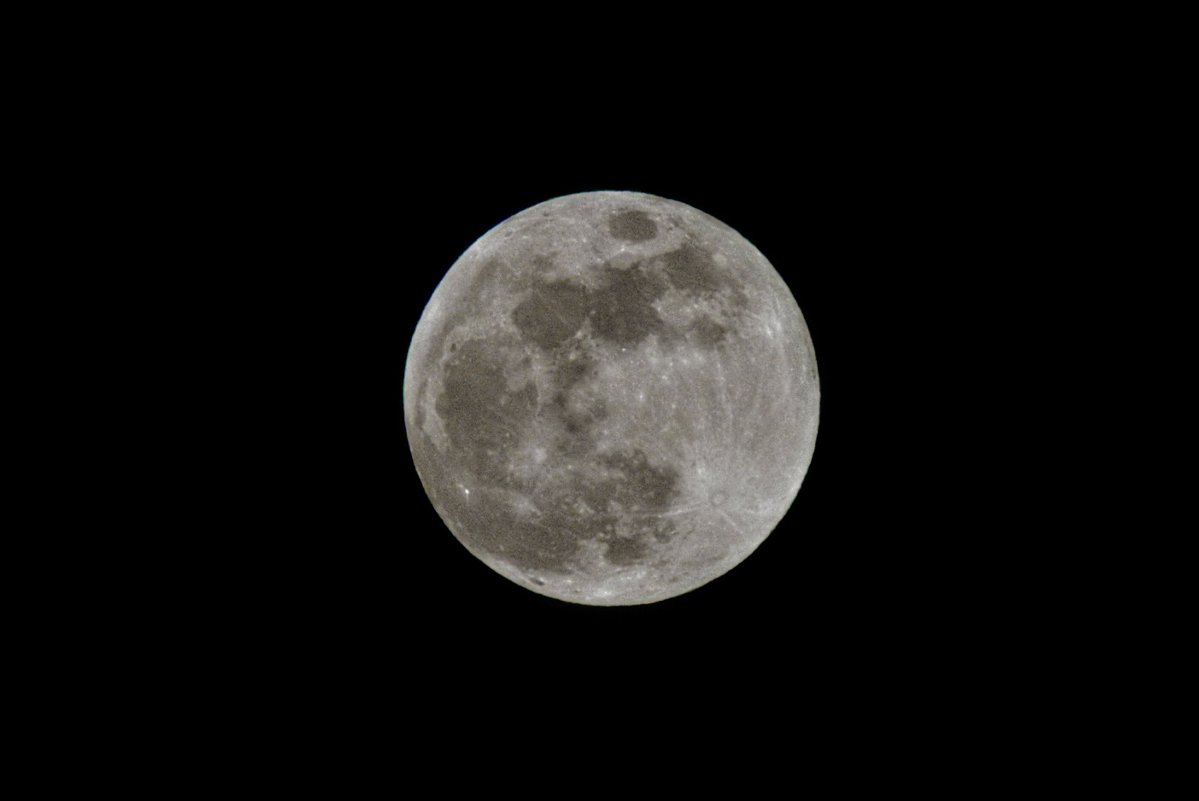 Tanya westcott tweet media