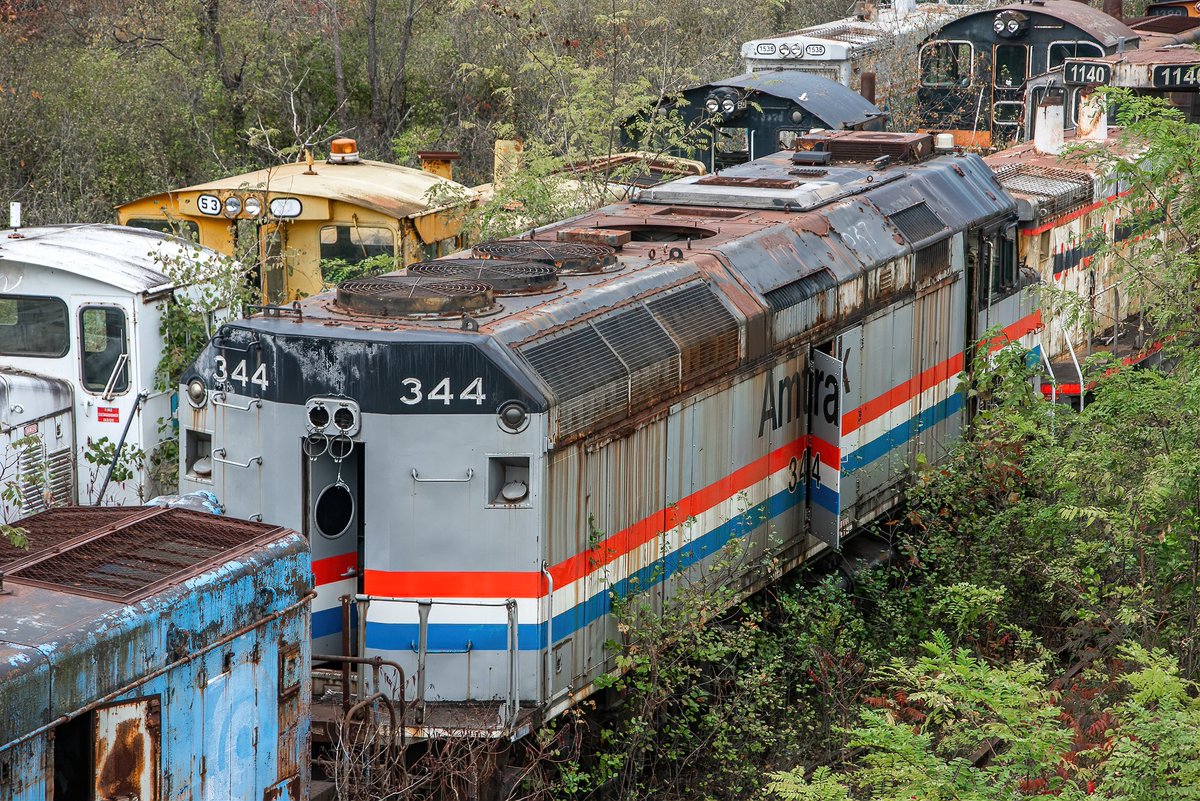 Mr. P. Explores tweet media