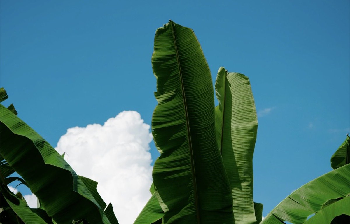 Ann（互fo互赞） tweet media