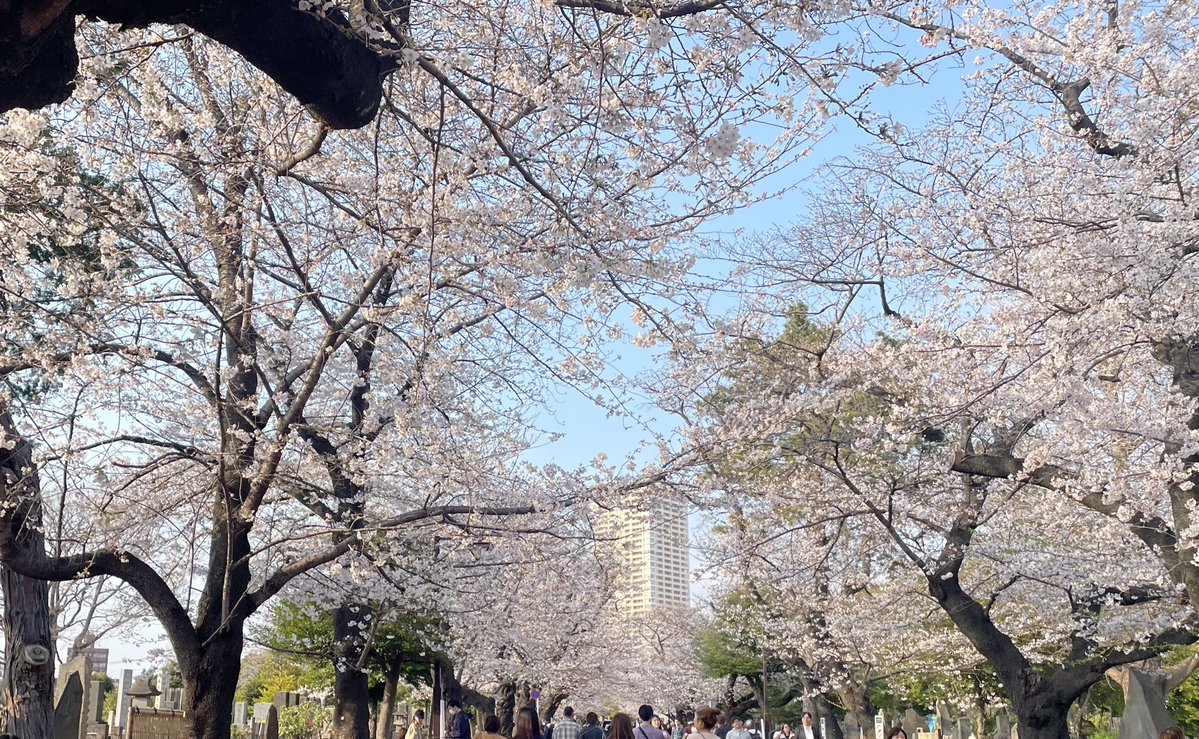 ながき ひより| ㍿BLOOMTECH tweet media