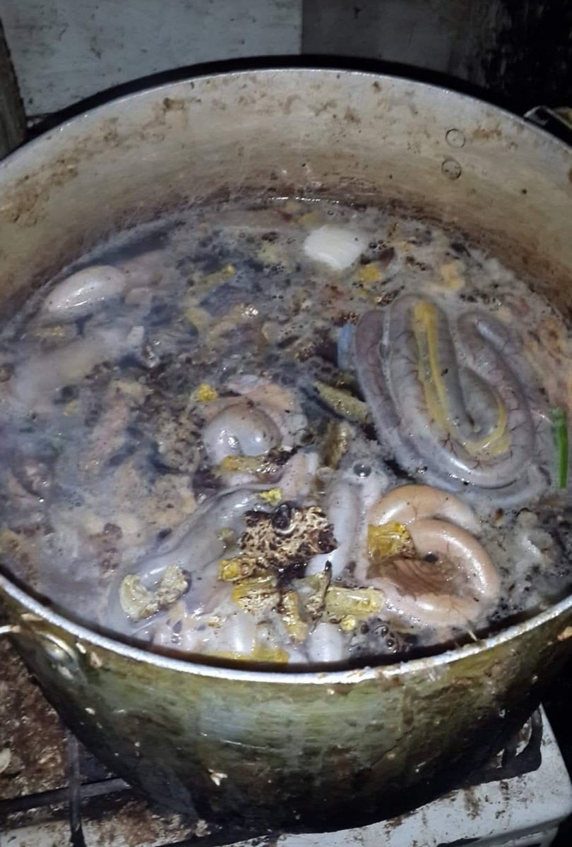 Não Intendo tweet media