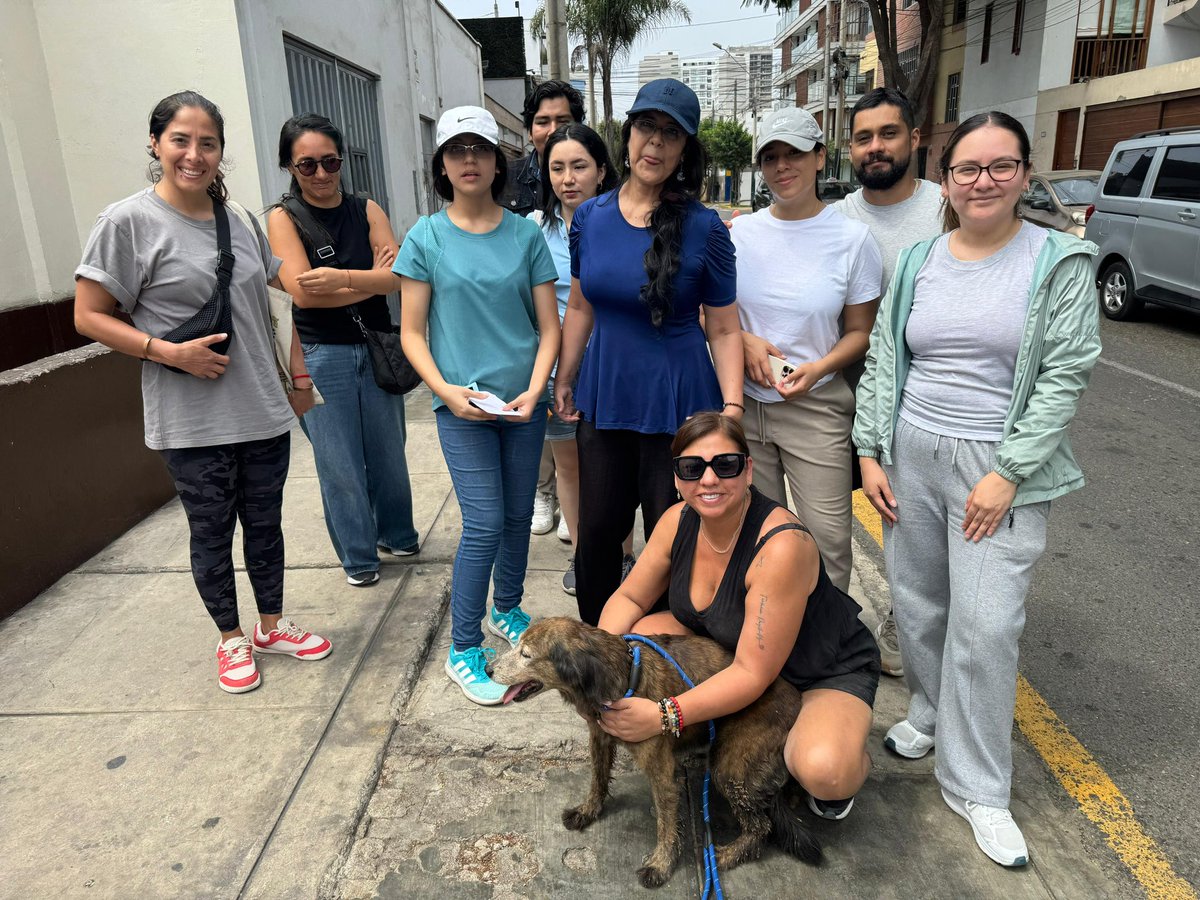 Pao Peralta 🐶 Rescatando Perritos 🇵🇪 tweet media