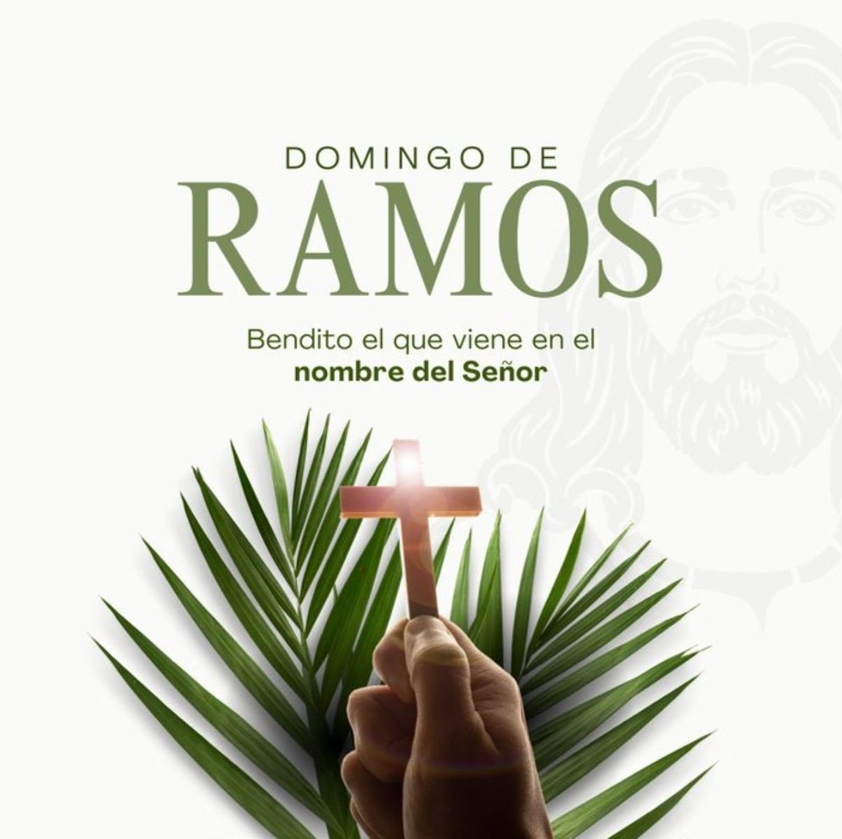 @MujeresADZulia tweet media