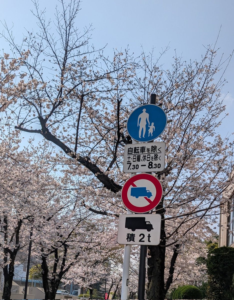 ＣＬＡＲＫ（ルイージさん、円光寺ルイ）@ドラディション tweet media