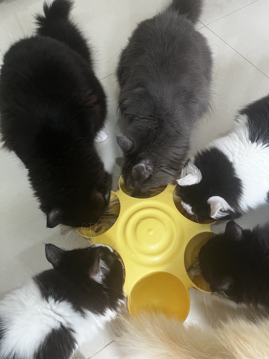 🫧AubE🫧Ing🫧 tweet media