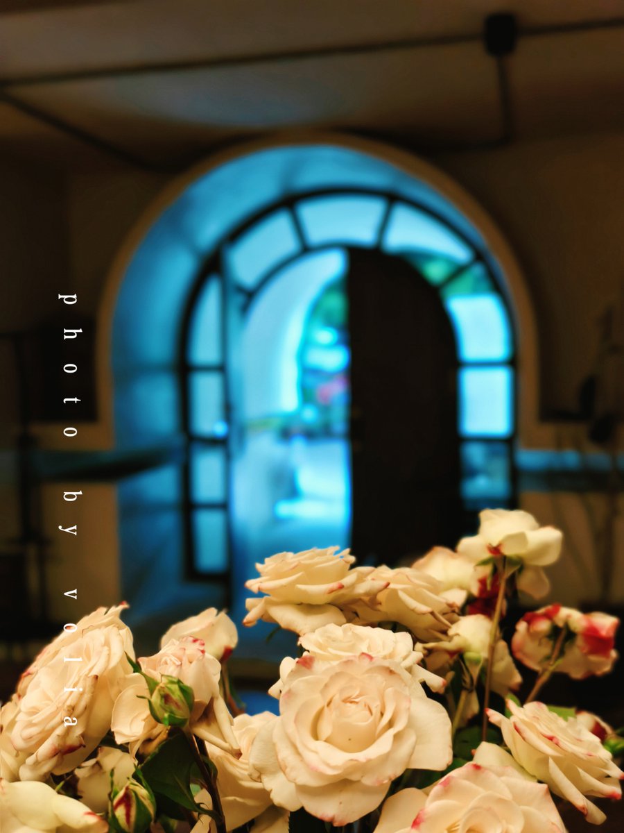 Sarah Finney tweet media