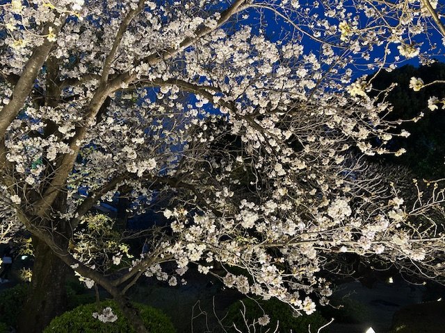 一般財団法人 電気工事技術講習センター【公式】 tweet media