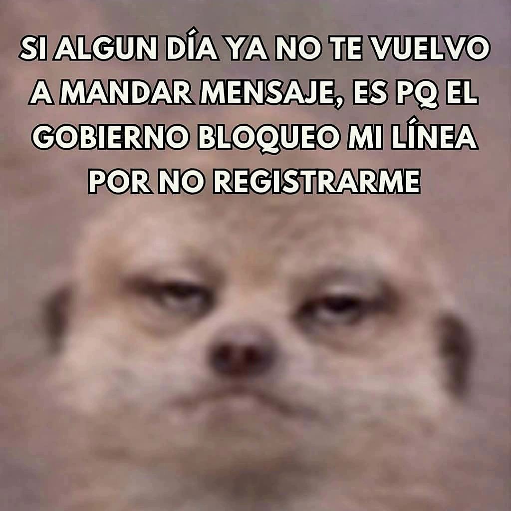 MadreMemestrosa tweet media