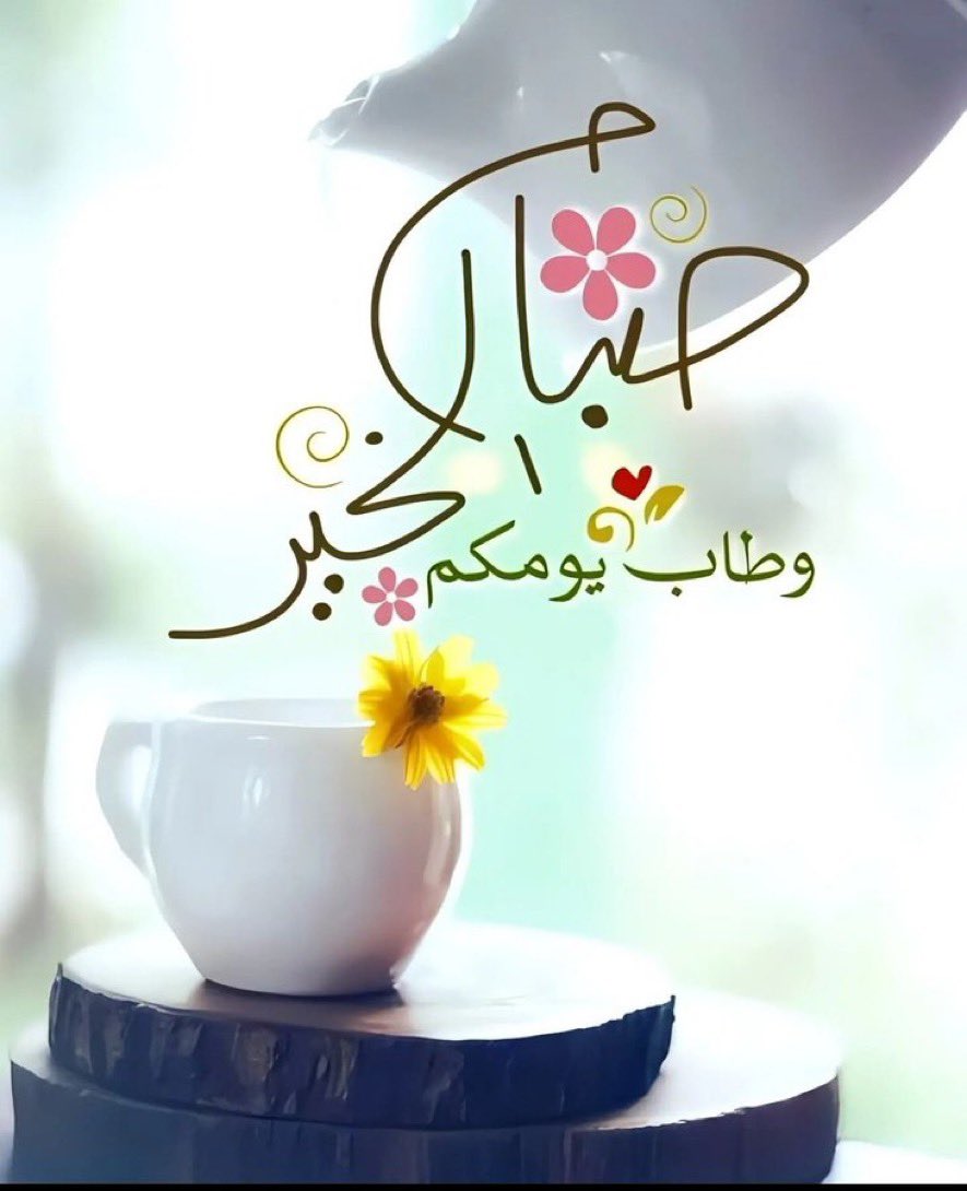 بن سالم 🇾🇪🇸🇦 tweet media