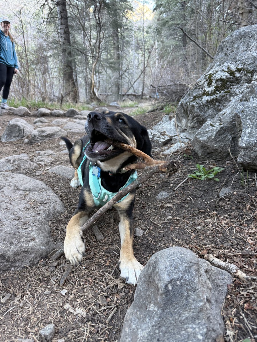 justanotherhiker tweet media