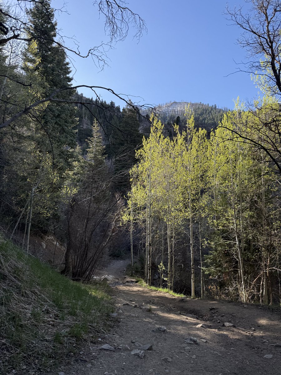 justanotherhiker tweet media