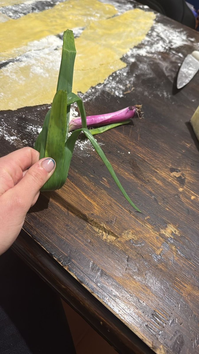 StefiMartinis's tweet photo. @Seoriza17 No es el único, nos juntamos con mis amigas a comer pastas caseras, le dijimos a una que lleve la cebolla de verdeo y cayó con esto. Encima x blda la estafaron y le cobraron  $1000 esa ramita. https://t.co/qK1EIlkyoE