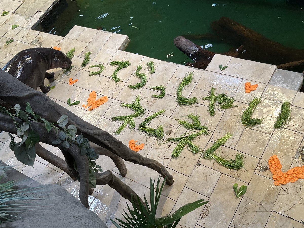 NIFREL(ニフレル)公式 tweet media