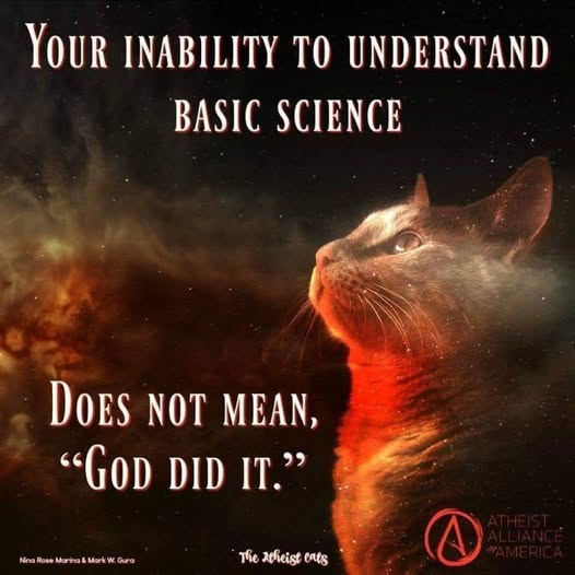 Steve Morgan tweet media