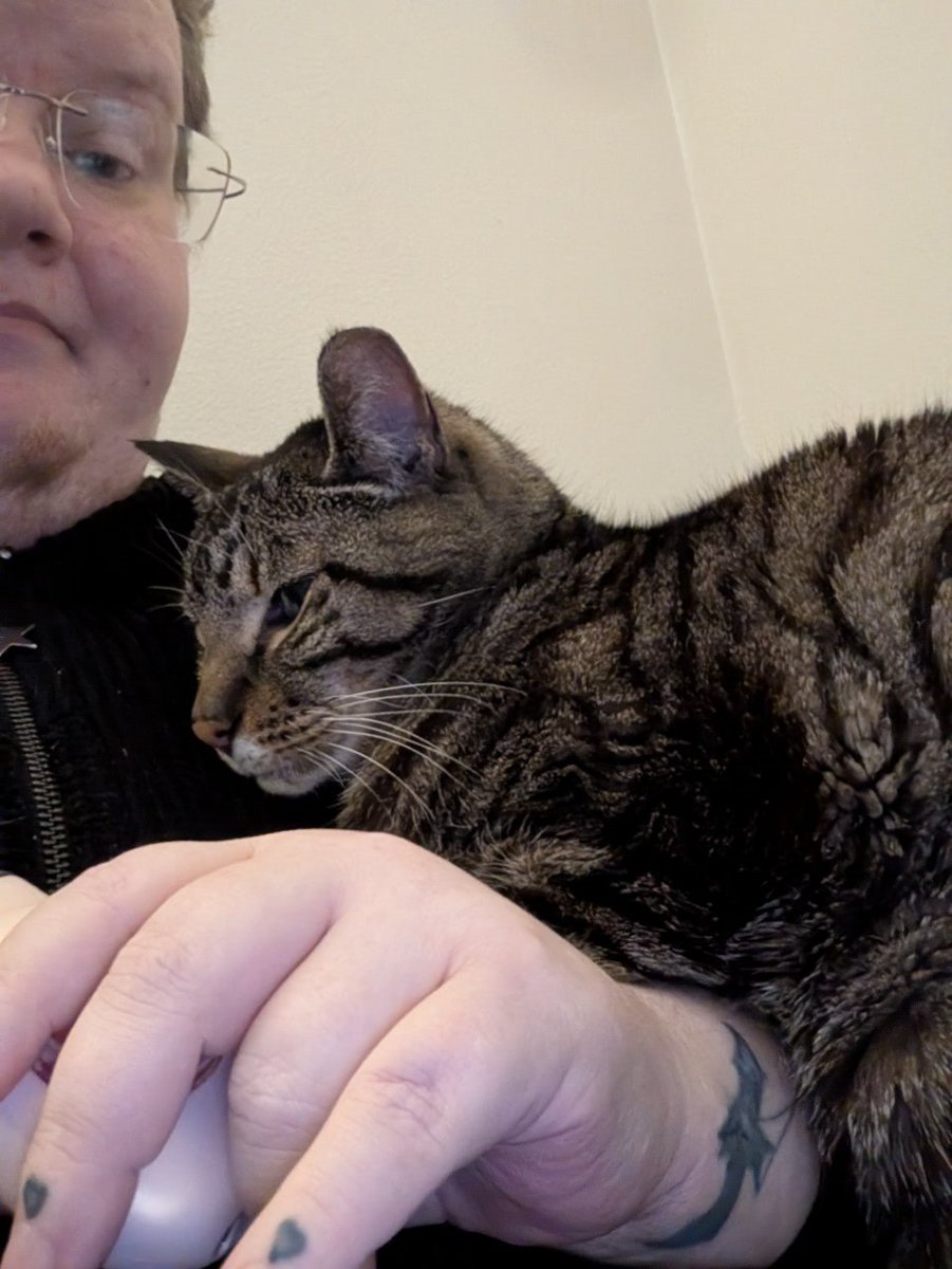 Taking a small break from streaming, details in the image. Eshmun being a needy butt as a tax.