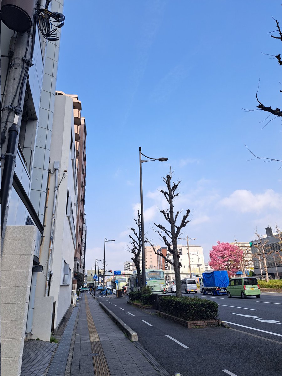 torasitan tweet media