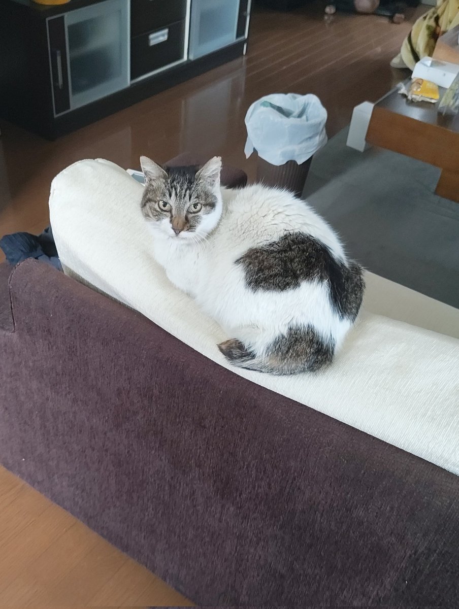 がきまる tweet media