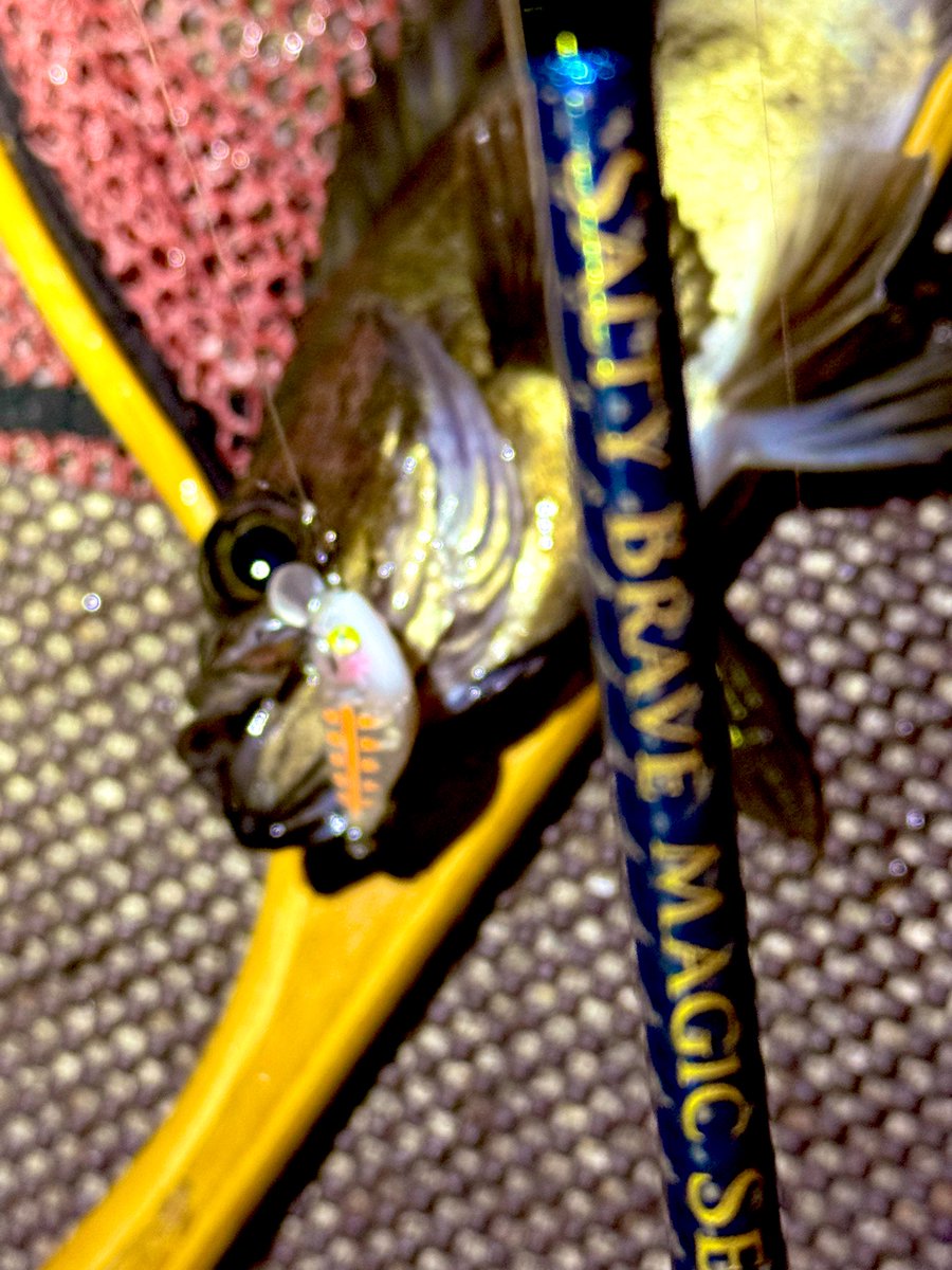 もくりんくん tweet media