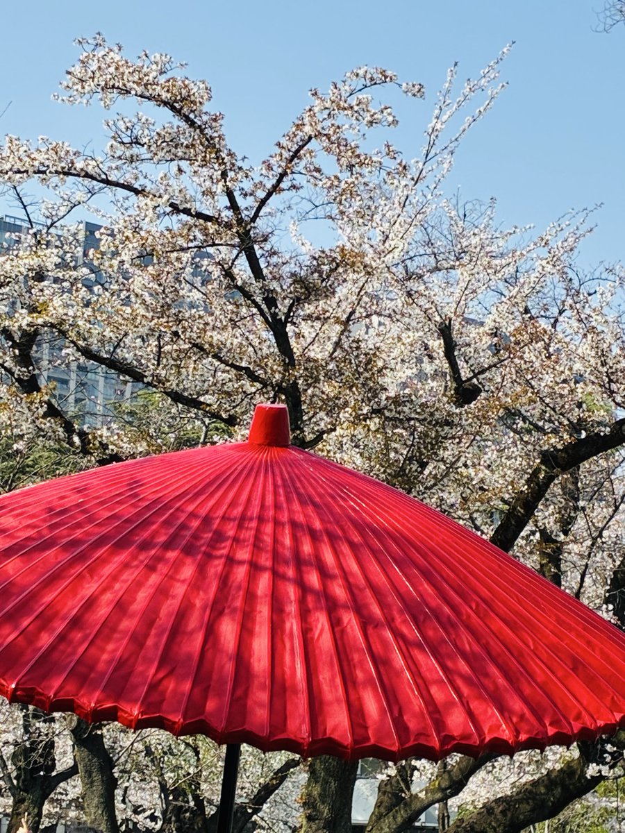 Rose Bud ☀️🌙✨ tweet media