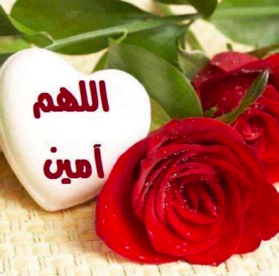 سكيت السكيت (الوافي) tweet media