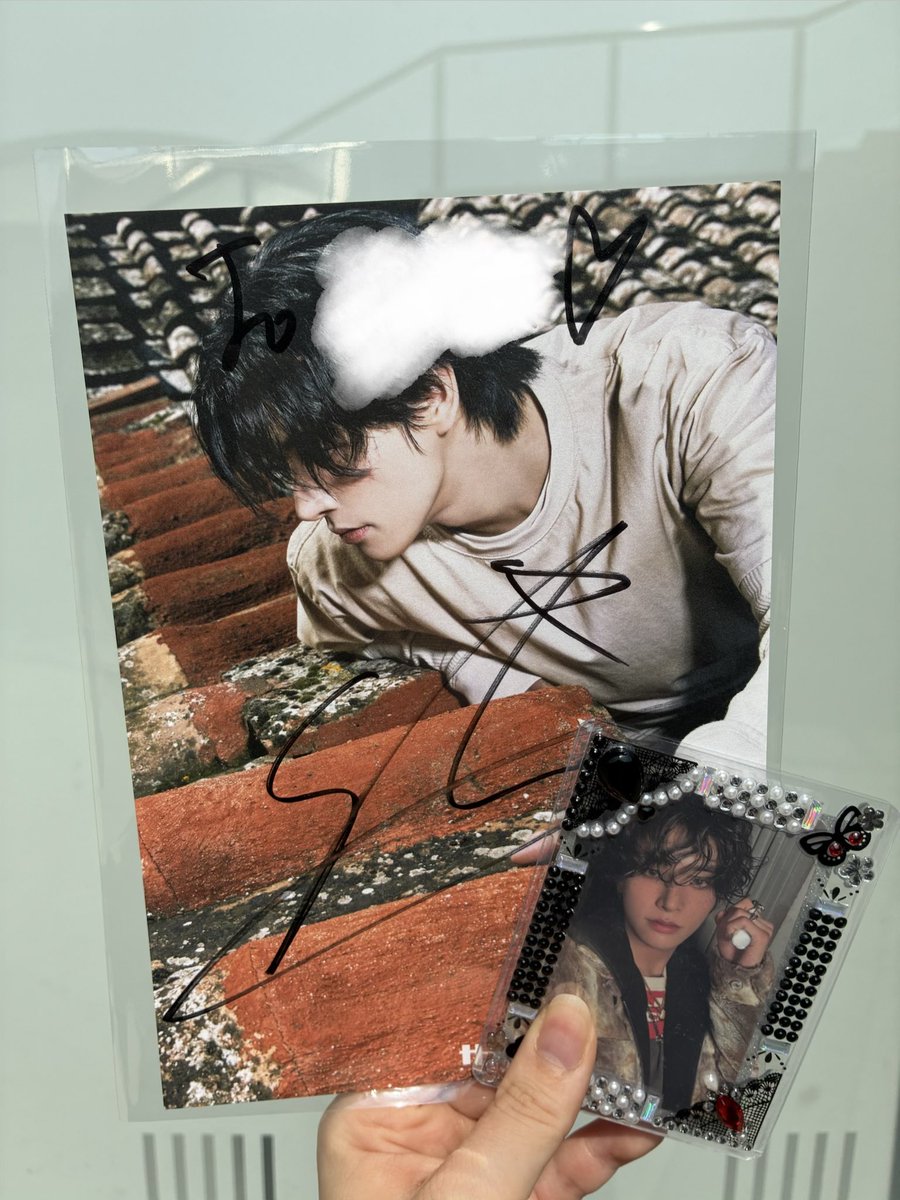 Daoye🐈🦌🦅🦮🐧🦊🐥 tweet media