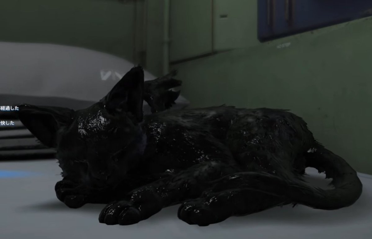 きみつ彩寧🐼🍳CCJP3期生★妄想が大好物なVtuber tweet media