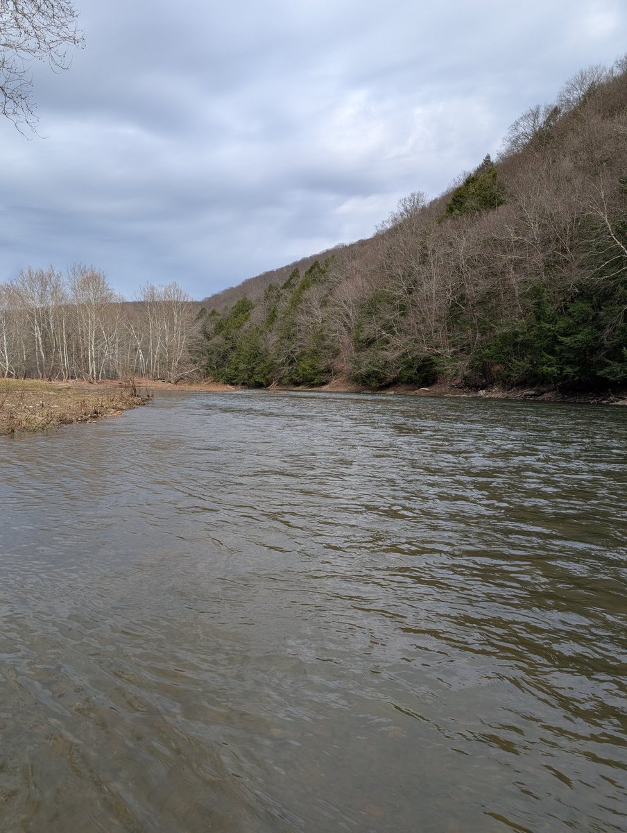 dylandouglass1's tweet image. Caught a few little Rainbows.  Nice because it is like a quarter mile from where they stocked! Saw an eagle and several deer.  Stream to myself... ,#Priceless and that is a wrap for the weekend! ✌️🙏🇺🇸✌️