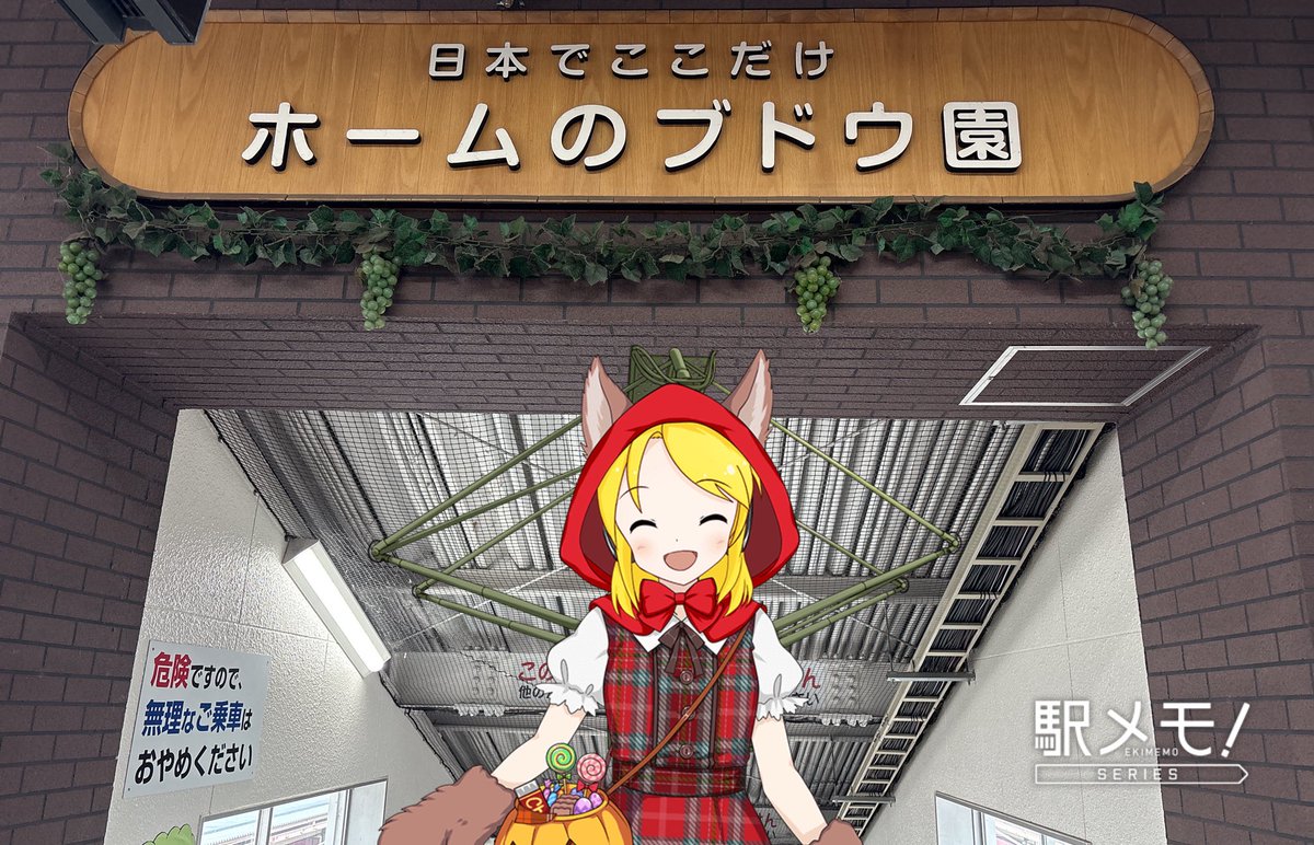 鉄道日和なマミ tweet media