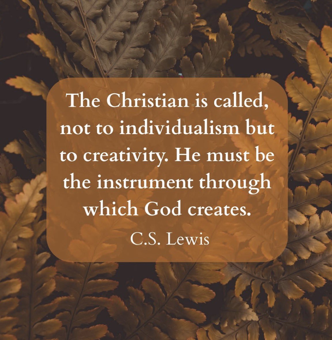 Riley Fulcher tweet media