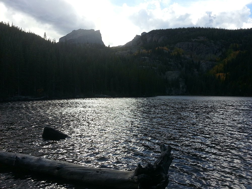 Saltwater on the Fly tweet media