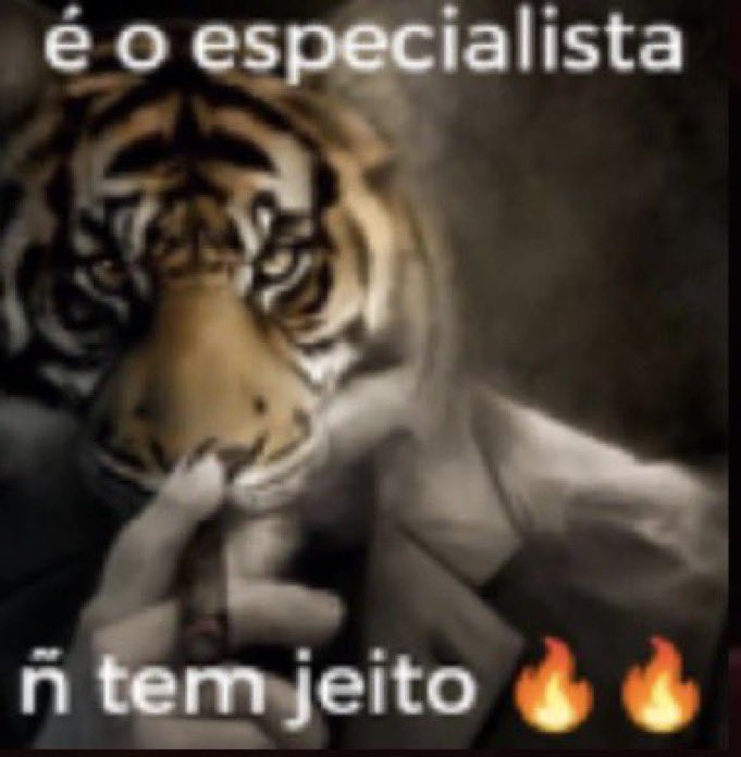 arrobagemeiupontocom tweet media