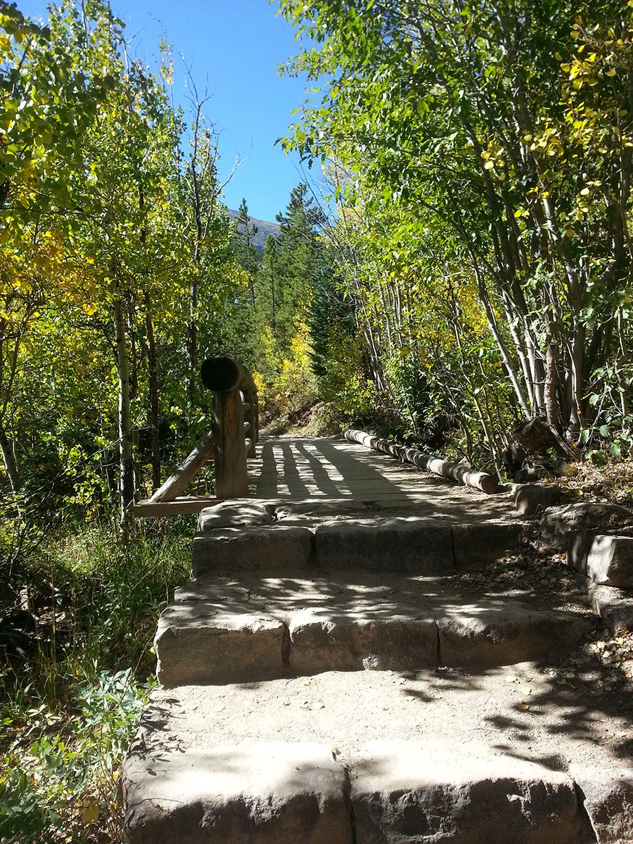 Saltwater on the Fly tweet media