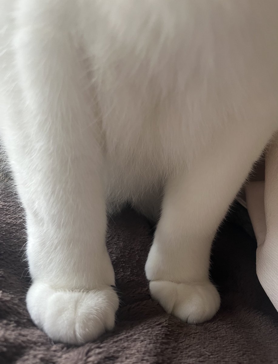 ナムコ tweet media