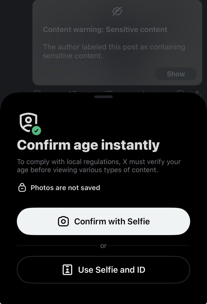 Miraii 🪦🍡 Undead Catgirl(on hiatus) tweet media