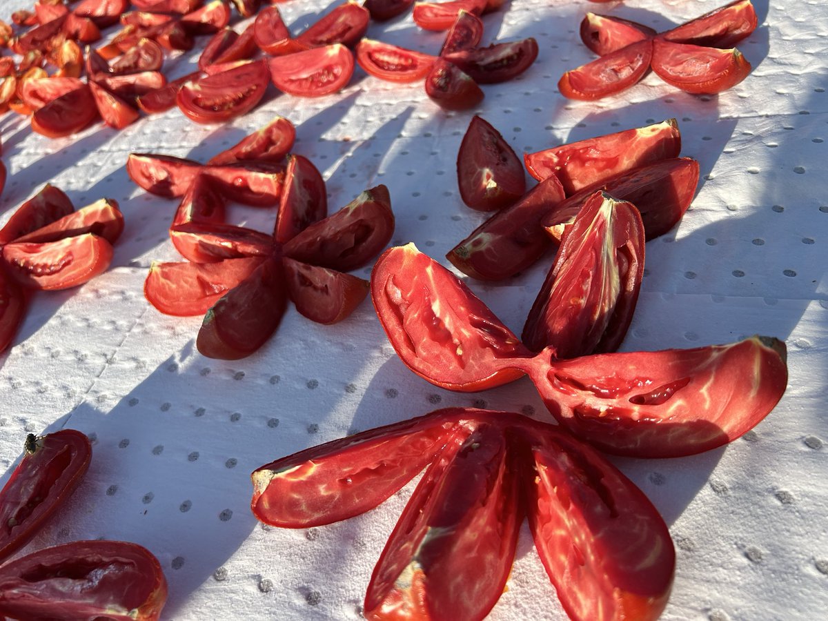 Semih U. tweet media