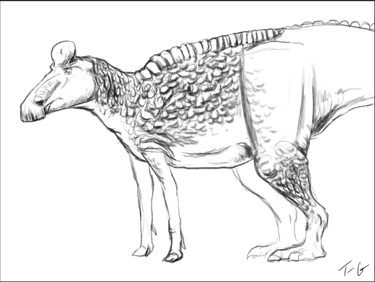 Tess Gallagher🦕(@tessasaurus.bsky.social) tweet media