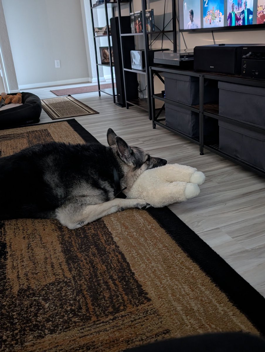 ཐི༏ཋྀ Cozy ཐི༏ཋྀ 🖤Momma Moth🖤 tweet media