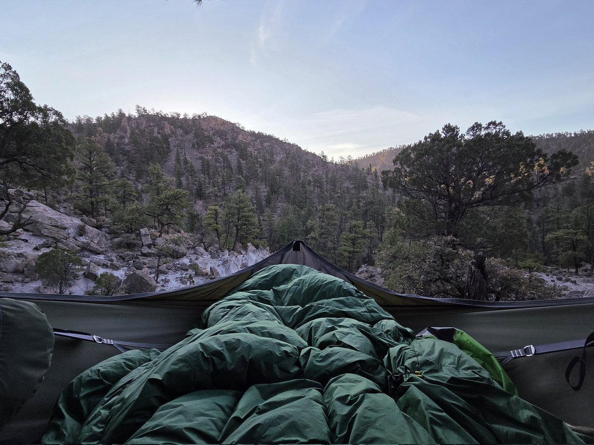 💎 Gem Caracal 💎 🇺🇲 tweet media