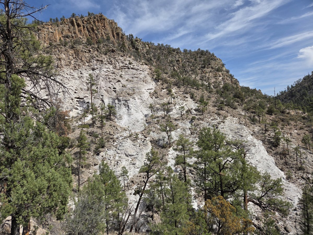 💎 Gem Caracal 💎 🇺🇲 tweet media