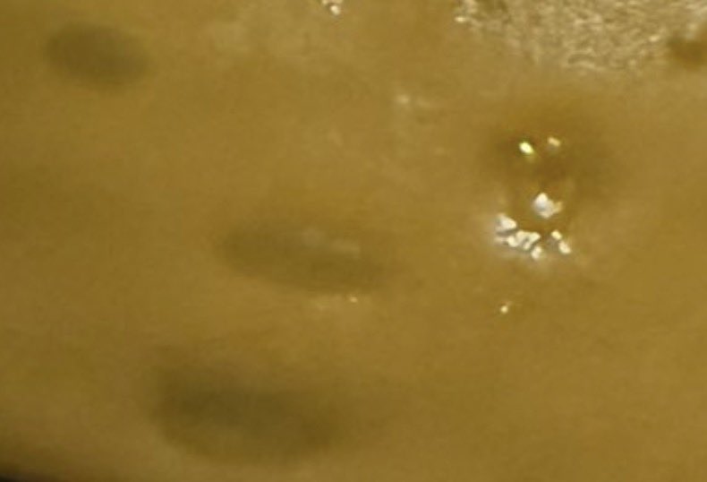 Lutaa L’Antillais Du Twitch Game tweet media