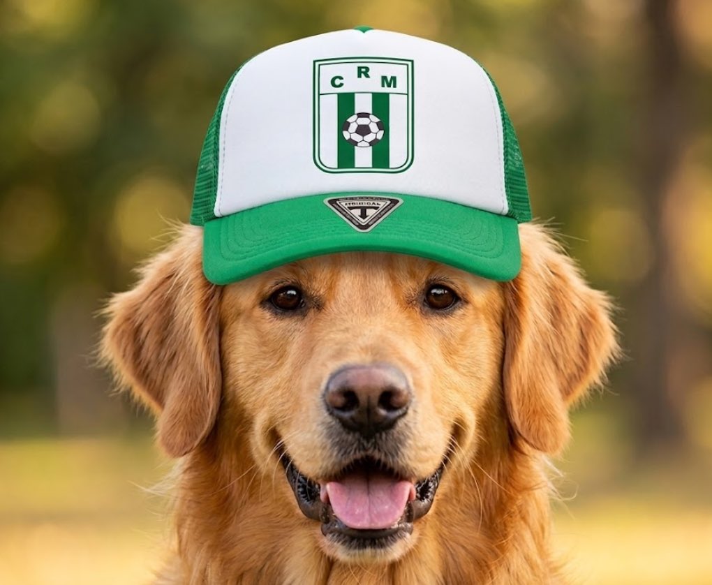 Bergessista tweet media