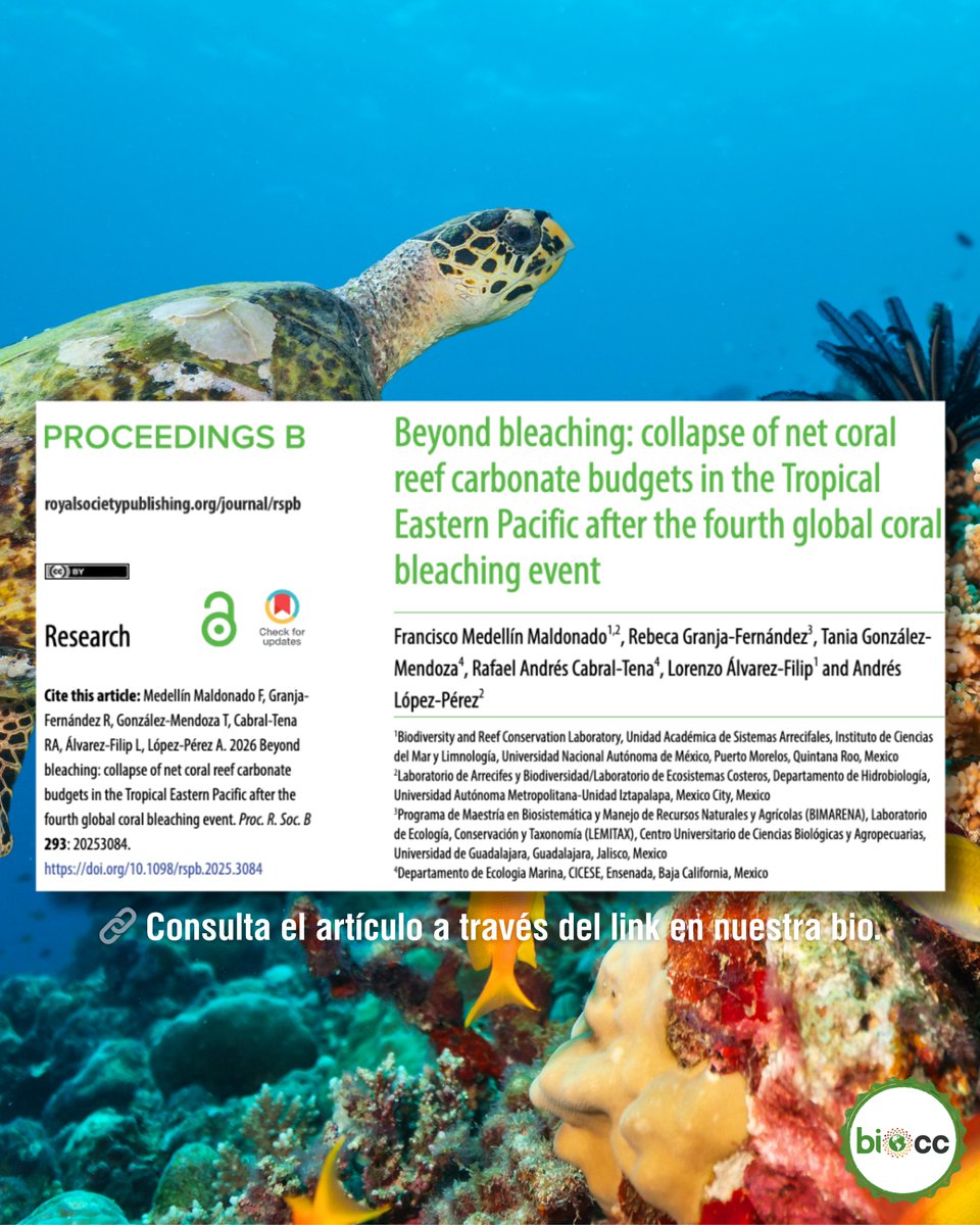 LNCBioCC's tweet photo. 📖 https://t.co/v7oZHHXpFv

#CoralReefs #ClimateCrisis #OceanWarming https://t.co/OAjPXCDOAr